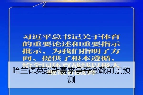 哈兰德英超新赛季争夺金靴前景预测